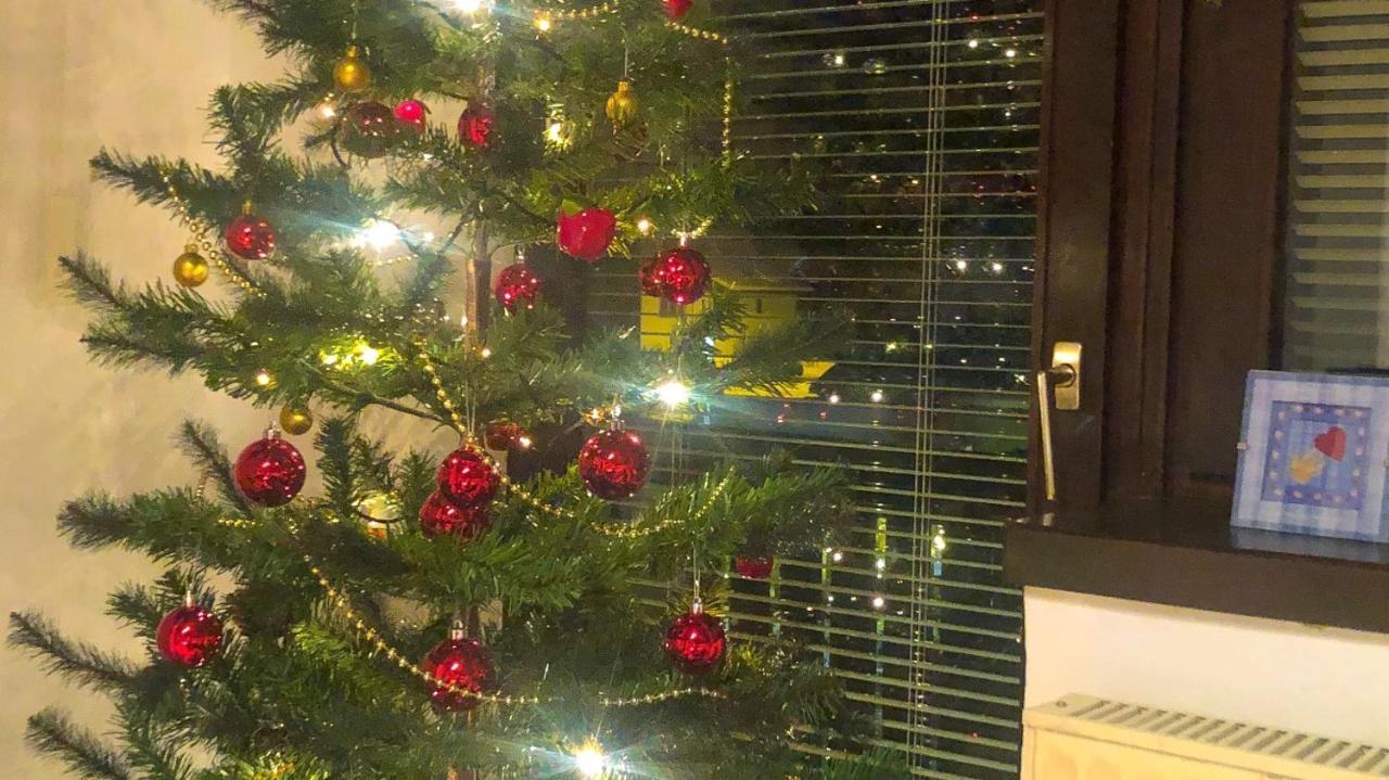 Savadolinka House Lejlighed Mojstrana Eksteriør billede